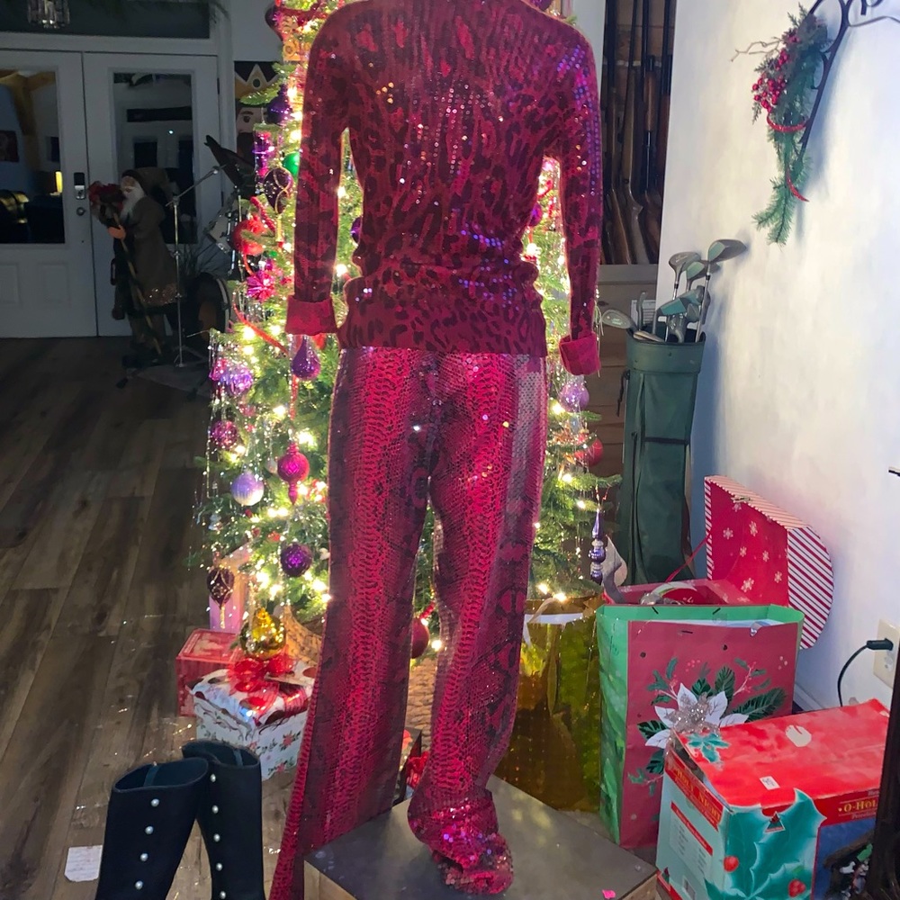 Get Noticed! In This 2 Pc Red Hot Sequence Red An… - image 1